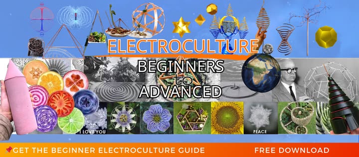 Electroculture Begginers to Advanced Facebook Group Banner