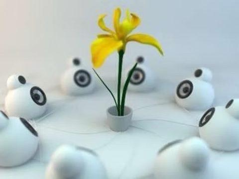 Does Sound & Music Enhance Plant Growth?