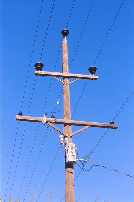 Can Plants Be Harmed By Electricity?