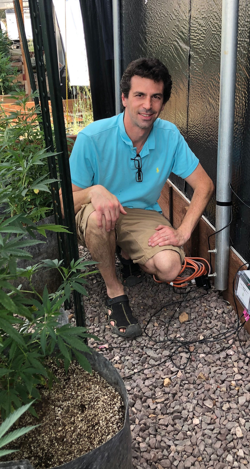 David with electroculture equipment