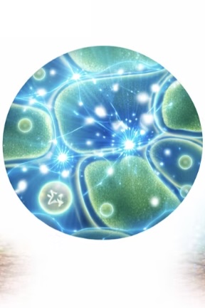 Electro-Physiological Changes - Cellular level response