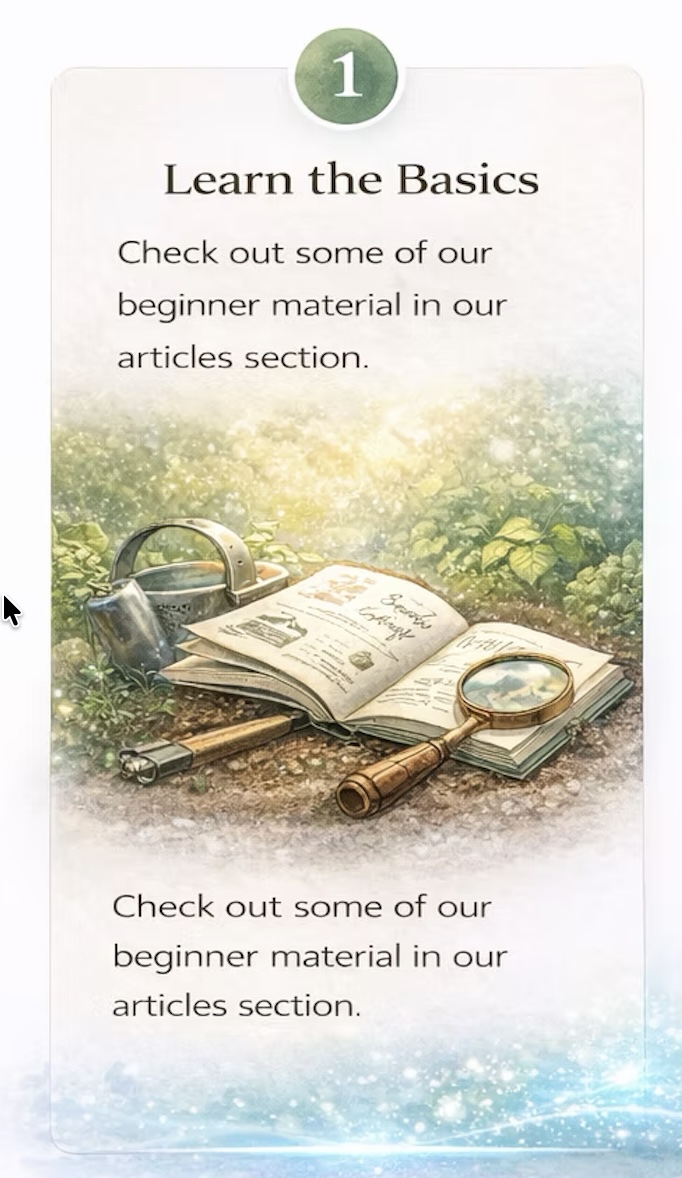 Electroculture illustration showing lightning, atmospheric electricity, and plant roots with electric current in soil after a thunderstorm, explaining how plants thrive with natural electricity