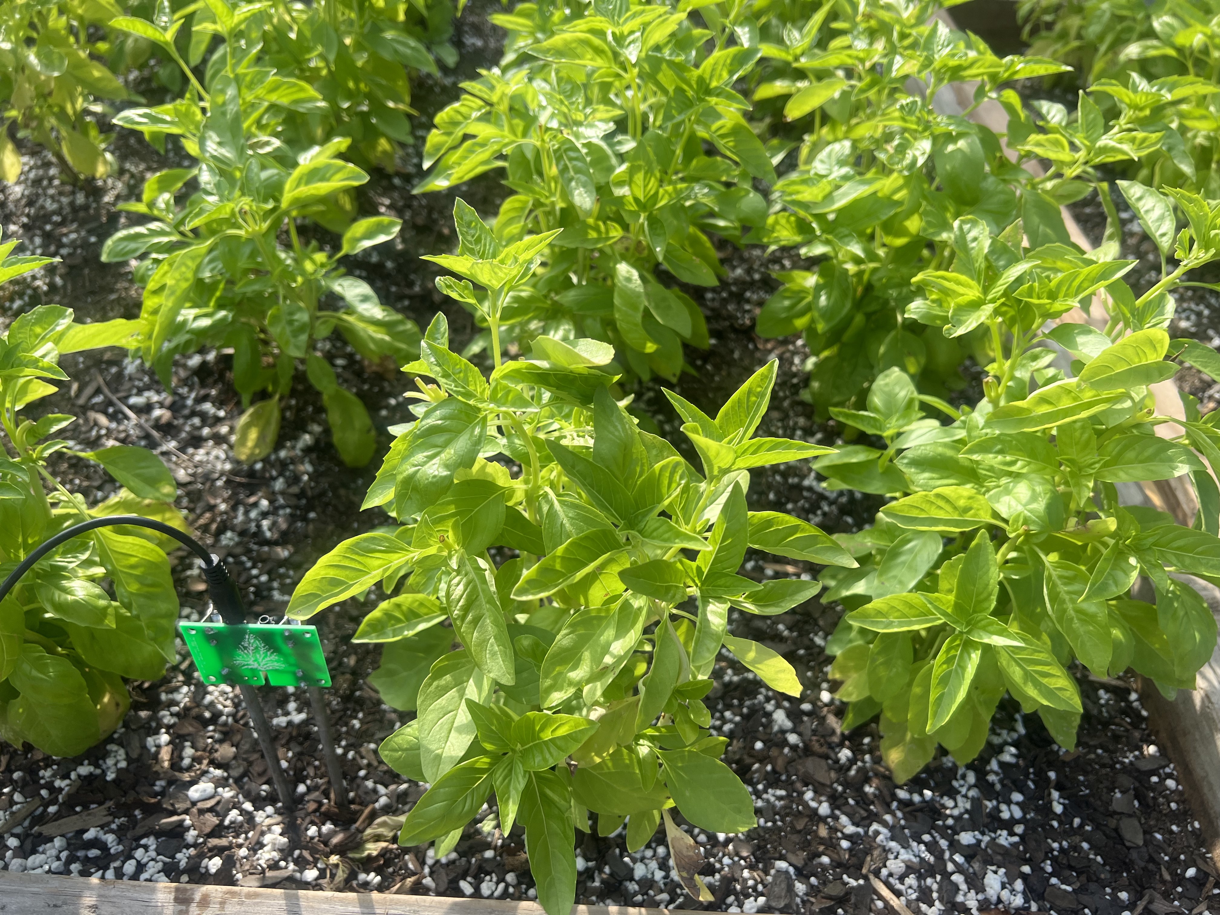 HarvestStorm Pulsed-DC Expansion Unit