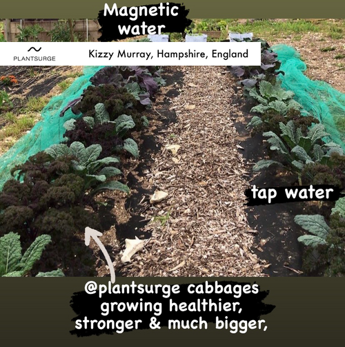 PlantSurge Magnetic Water Conditioner — view 4
